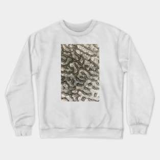 Volcanic Rock Pattern - Alternative Crewneck Sweatshirt